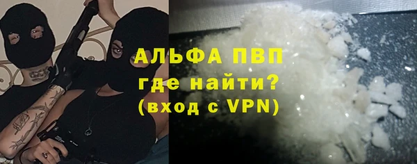 прущие грибы Арсеньев