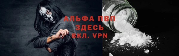 прущие грибы Арсеньев