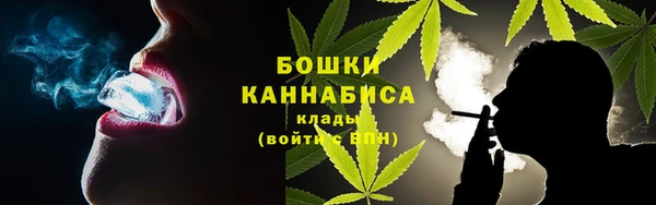 прущие грибы Арсеньев