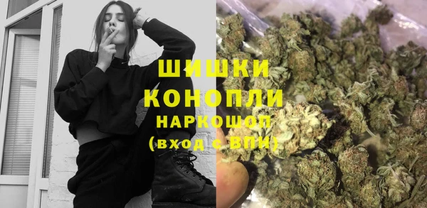 прущие грибы Арсеньев
