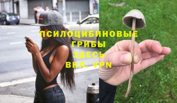 прущие грибы Арсеньев