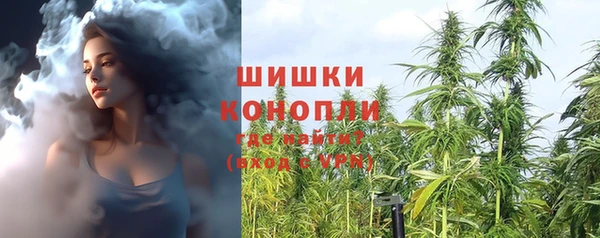 прущие грибы Арсеньев