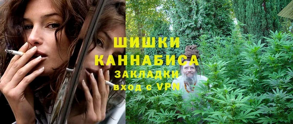 прущие грибы Арсеньев