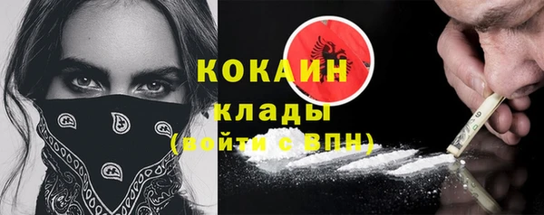 прущие грибы Арсеньев