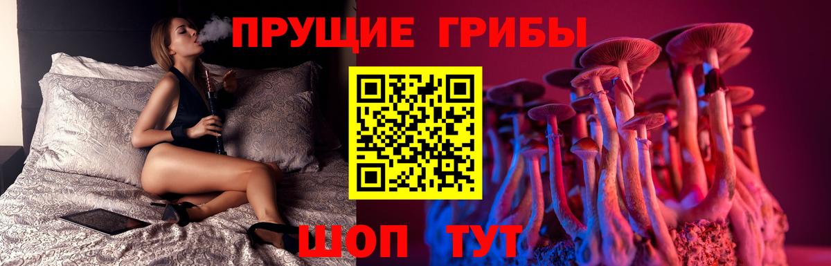 Обнинск  Псилоцибиновые грибы мухоморы  Вход с VPN  сколько стоит  Галлюциногенные грибы MAGIC MUSHROOMS 